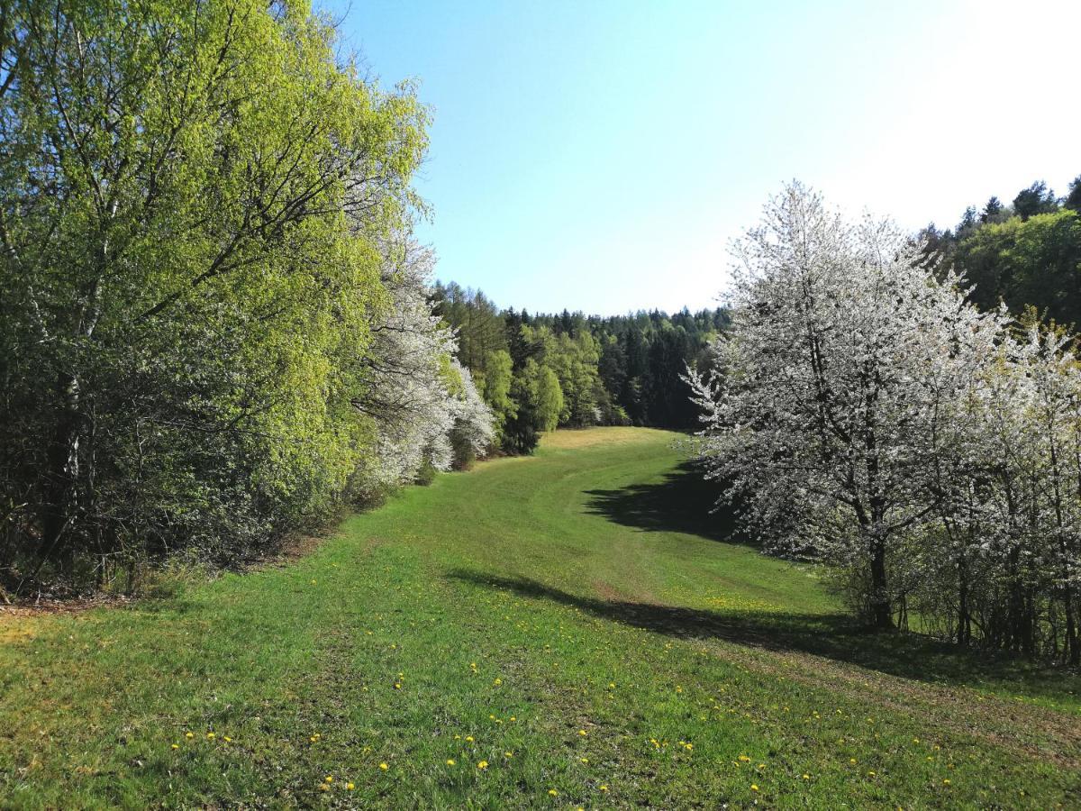 Ferienwohnung Wilhelm Springstille Екстериор снимка
