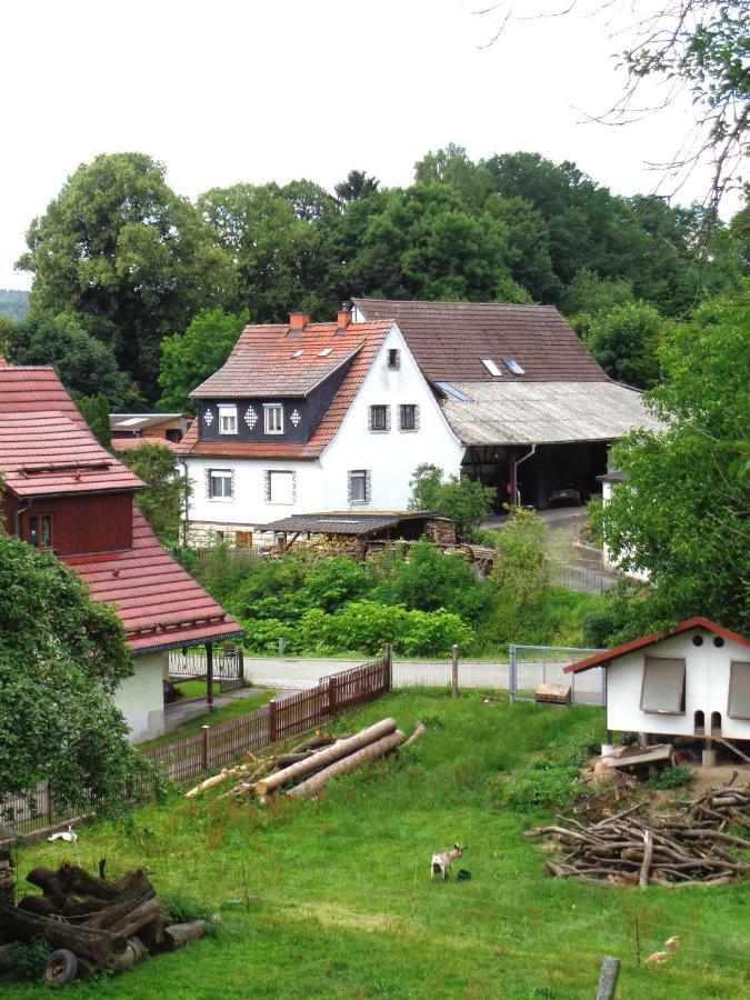 Ferienwohnung Wilhelm Springstille Екстериор снимка
